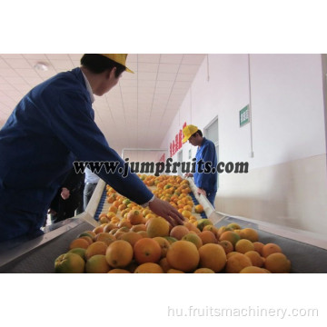 NFC Citruslé gyümölcsgyártási feldolgozó vonal